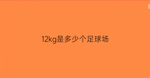 12kg是多少个足球场(12kg等于g)