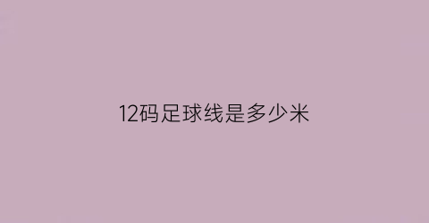 12码足球线是多少米(足球12码是什么样的)