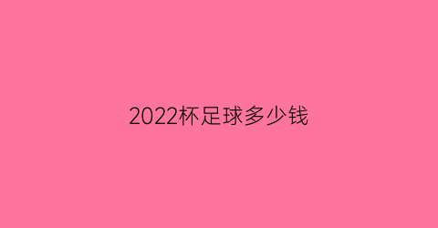 2022杯足球多少钱(比赛足球价格)