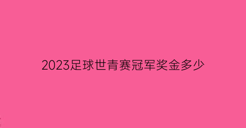 2023足球世青赛冠军奖金多少