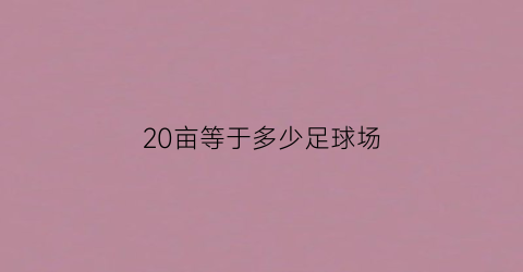 20亩等于多少足球场(20亩地有多大足球场)