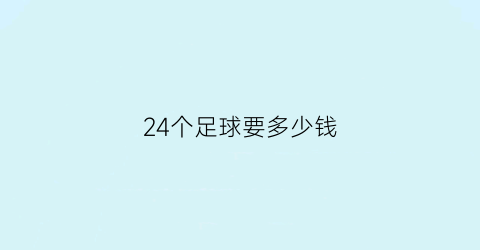 24个足球要多少钱