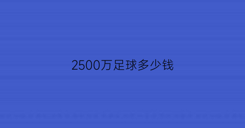 2500万足球多少钱(足球卖多少钱)