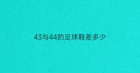 43与44的足球鞋差多少