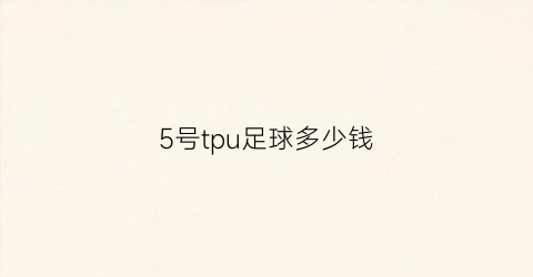 5号tpu足球多少钱(5号足球多大)