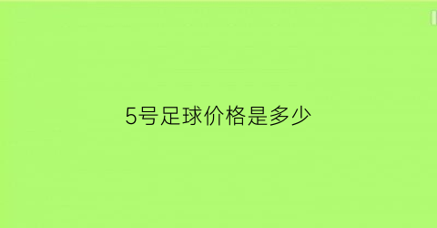 5号足球价格是多少(5号足球规格)