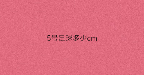 5号足球多少cm(5号足球有多大)