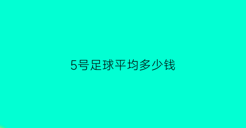 5号足球平均多少钱(5号足球有多重)