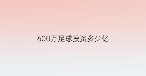 600万足球投资多少亿(6万人足球场)