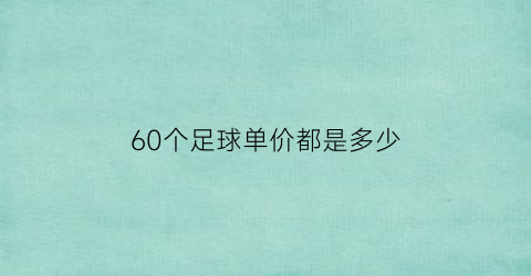 60个足球单价都是多少(一个足球66元买6个足球大约多少钱)