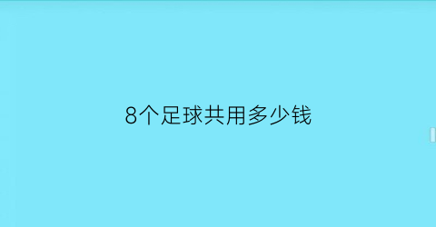 8个足球共用多少钱