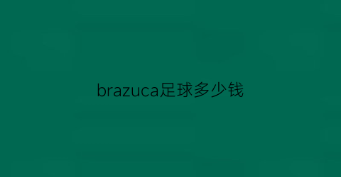 brazuca足球多少钱(brace足球)