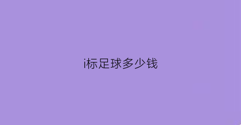 i标足球多少钱(足球标号)