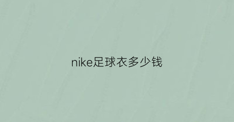 nike足球衣多少钱(nike国足球衣)