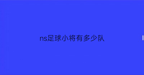 ns足球小将有多少队(ns足球小将有多少队友)