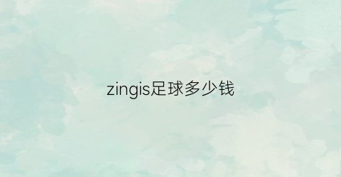 zingis足球多少钱(足球多少钱算好的)