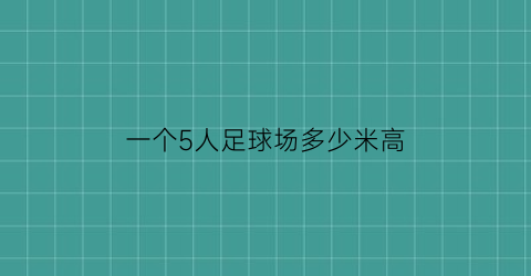 一个5人足球场多少米高(5人足球场面积)