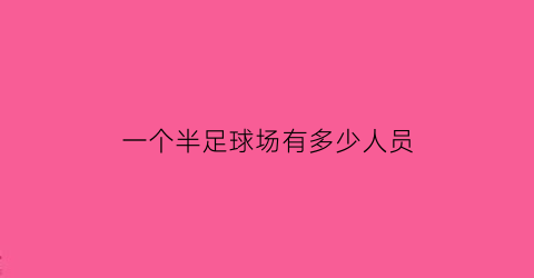 一个半足球场有多少人员(一个半足球场有多少人员啊)