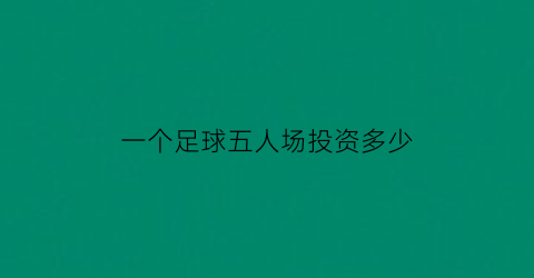 一个足球五人场投资多少(一个五人足球场利润)