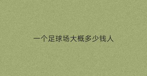 一个足球场大概多少钱人(一个足球场大概多少钱人民币)