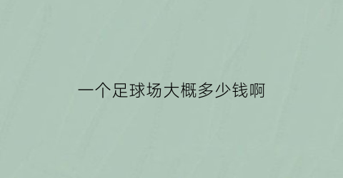 一个足球场大概多少钱啊(一个足球场要花多少钱)