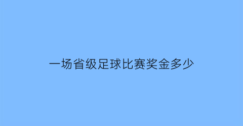 一场省级足球比赛奖金多少