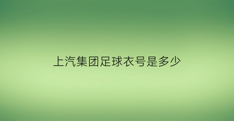 上汽集团足球衣号是多少(上汽足球队)