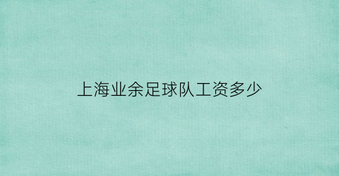 上海业余足球队工资多少(上海的职业足球队)