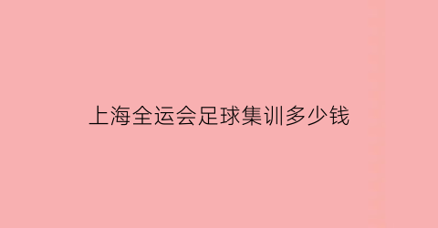 上海全运会足球集训多少钱(上海全运会足球队)