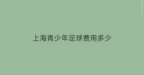 上海青少年足球费用多少(上海青少年足球比赛)