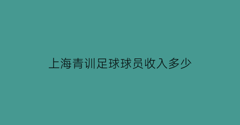 上海青训足球球员收入多少(上海的青训俱乐部)