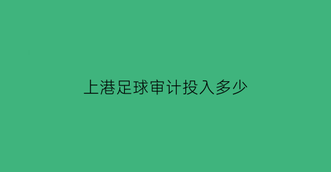 上港足球审计投入多少(上港足球投入多少资金)