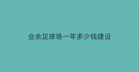 业余足球场一年多少钱建设(建一个足球场能赚钱吗)