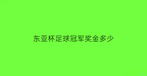 东亚杯足球冠军奖金多少(东亚杯2020结果)