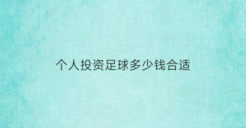 个人投资足球多少钱合适(投资足球俱乐部赚钱吗)