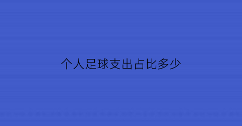 个人足球支出占比多少(个人足球支出占比多少合理)