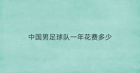 中国男足球队一年花费多少(中国足球一年花多少钱)