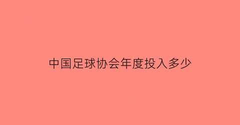 中国足球协会年度投入多少(2020年1月2日中国足球协会正式任命)