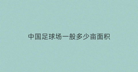 中国足球场一般多少亩面积(中国足球场能容纳多少人)