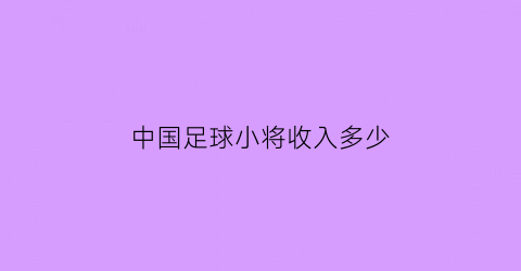 中国足球小将收入多少(中国足球小将收入多少钱)