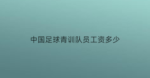 中国足球青训队员工资多少(足球青训教练工资标准)