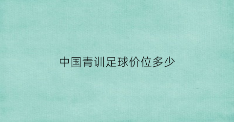 中国青训足球价位多少(中国足球青训搞得比较好的球队)