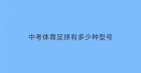 中考体育足球有多少种型号(中考体育足球标准)