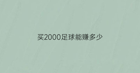 买2000足球能赚多少(买足球的人有多少是挣钱的)