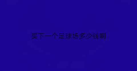 买下一个足球场多少钱啊(足球场多少钱一个平方)