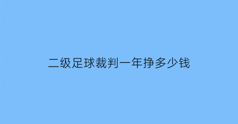 二级足球裁判一年挣多少钱