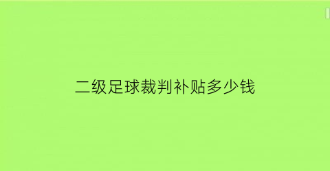 二级足球裁判补贴多少钱