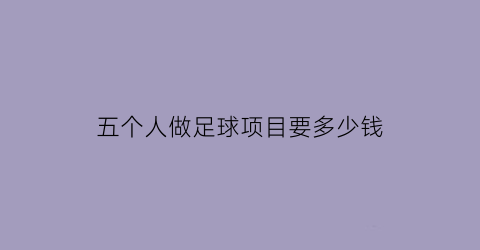 五个人做足球项目要多少钱(5人制足球场需要多少钱)