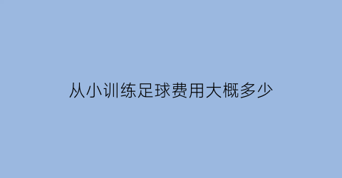 从小训练足球费用大概多少(从小训练足球费用大概多少钱)