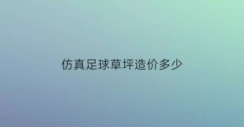 仿真足球草坪造价多少(假草坪足球场工艺)